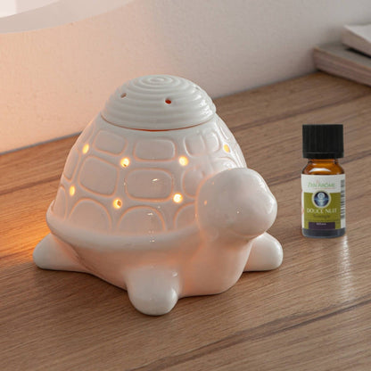 Aroma-Diffusor - Stövchen - FRANKLIN