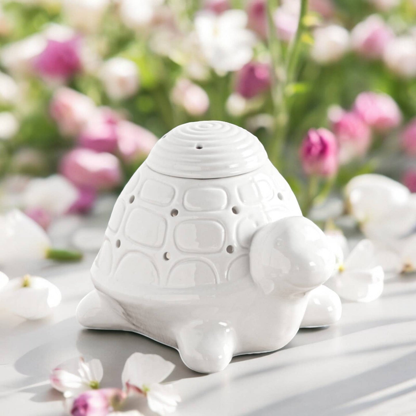 Aroma-Diffusor - Stövchen - FRANKLIN